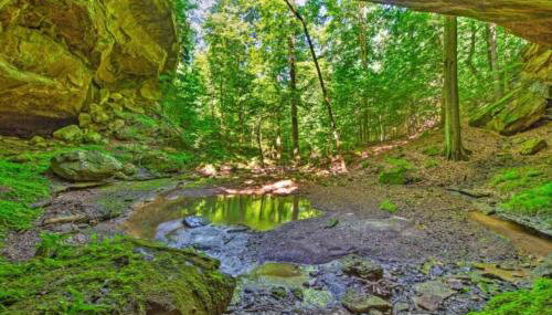 Mammoth Cave Cabin Rentals 7 - Foto 3