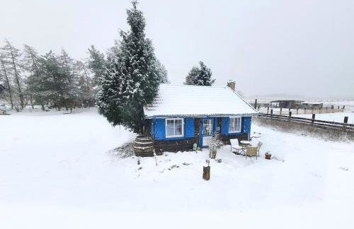 Ranczo Annabella - Foto 19