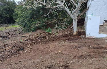 Finca Mamposo - Foto 16