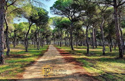 VIVIENDA TURISTICA PLAYA ALTAIR PUNTA UMBRIA - Foto 75