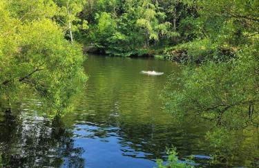 RELAX PUR in der NATUR I & II - Photo 1