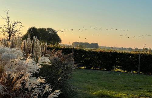 Ferienhaus Landruhe - Foto 9