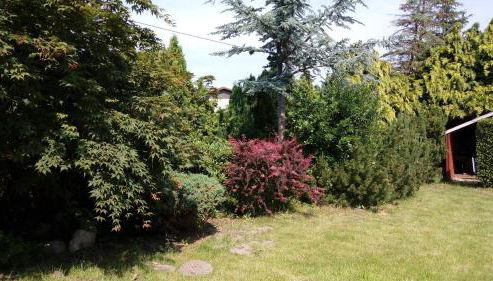 Ferienwohnung Zaepernick Dachgeschoss - Foto 5