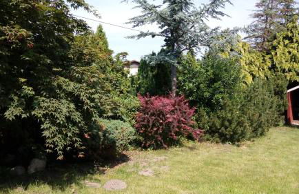 Ferienwohnung Zaepernick Dachgeschoss - Foto 5