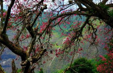 Casa Fazenda Inglesa Petrópolis RJ - Foto 39