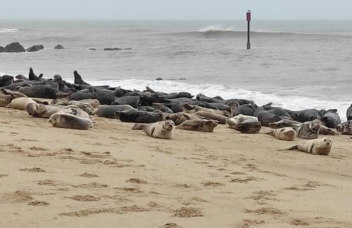 17 Breakaway Chalet - Foto 22