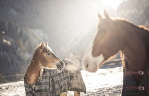 Chalet PURMONTES - Foto 35