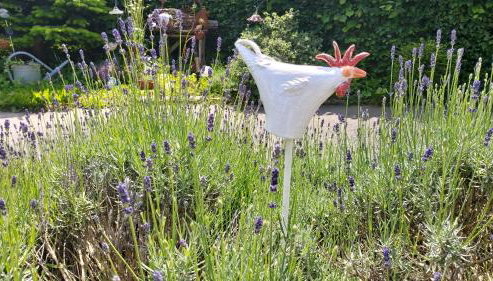 Ferienhaus zur Dorfbachklamm - Foto 3