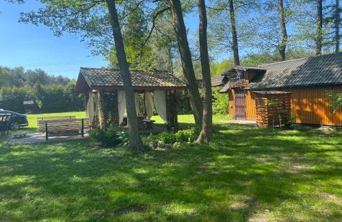 Leśny Zakątek - Foto 2