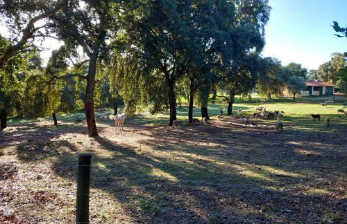 Casa da Vinha - Foto 40