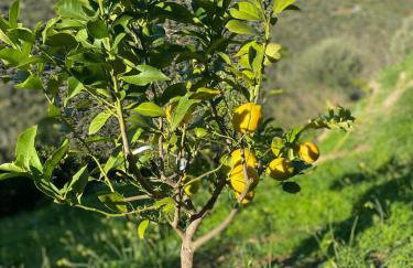 Villa Pebbles - Foto 52