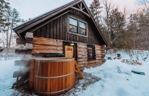 Private Adirondack Log Cabin, Hot Tub, Sauna & Swimming Hole, near Whiteface - Foto 49