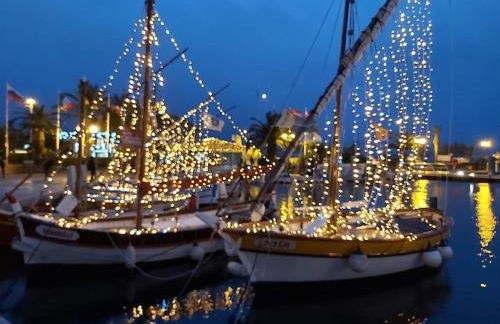 Appartement T2 Six Fours Cap Negre,1 mn à pied de la mer - Foto 45