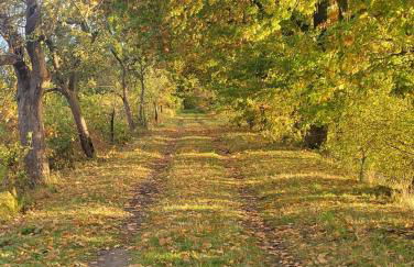 Urlaub im Neuseenland - Foto 39