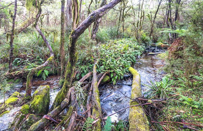 Toms Cabin - Photo 7