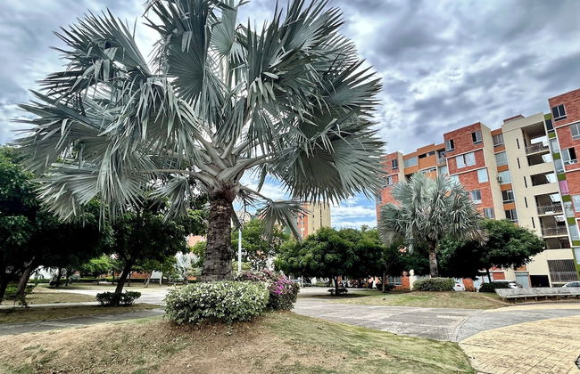 Lindo apartamento 3 habitaciones - Foto 12