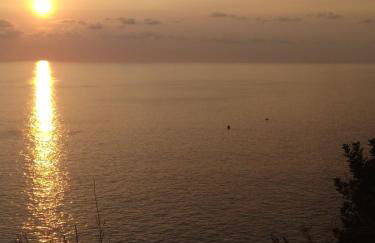 Anjos's Choice - Foto 44