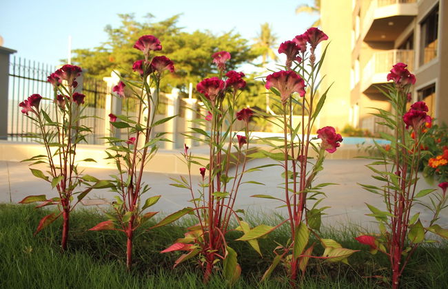 Amverton Bay View - Photo 31