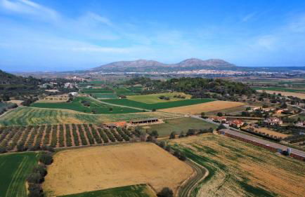 Mas Vermell - Foto 43