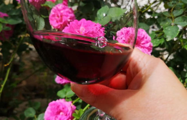 Casa Rural El Llano Quintanilla - Photo 32