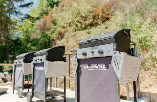 Tenuta Alela - Photo 76