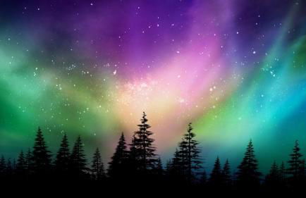 New-Game Room-Nearby Lake-Airport-Family-Bear Haus - Photo 34