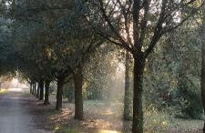 Tenuta del Viandante - Foto 55