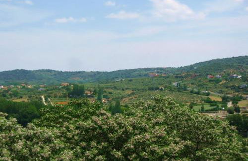 Valle del Jerte - Foto 17