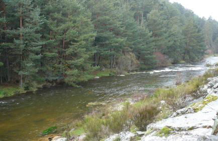 El Leñador I - Photo 26