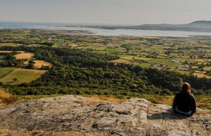 Cosy Barn Conversion in the Mournes - Photo 55