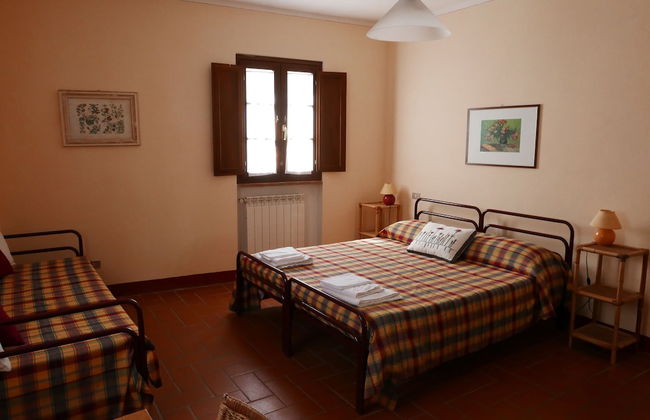 Fattoria Gambaro di Petrognano - Foto 3