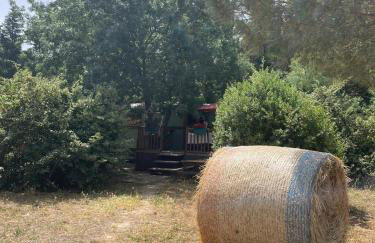 Roulotte en bois Sud France - Foto 17