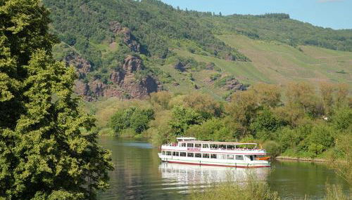 Weingut Rebenhof - Foto 4