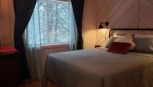 Denali Wild Stay - Muskrat cabin, private, free wifi, free parking, sleep 4 - Foto 3