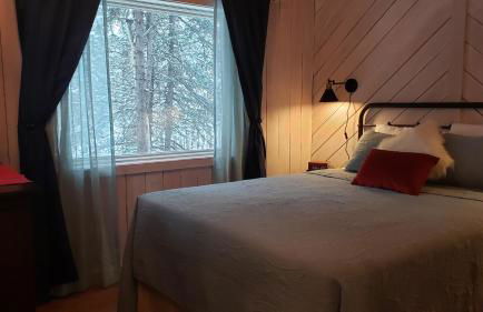 Denali Wild Stay - Muskrat cabin, private, free wifi, free parking, sleep 4 - Foto 3