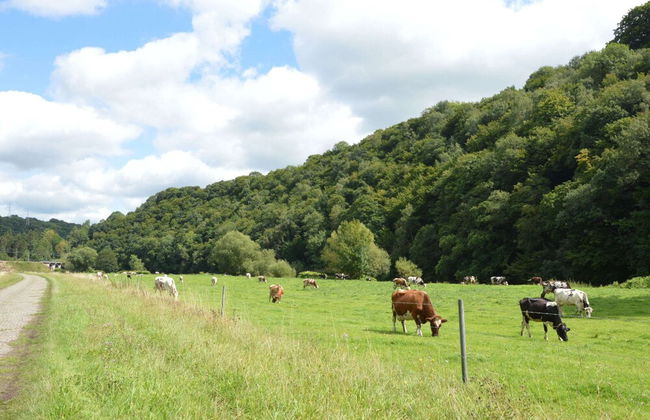 Splendid Holiday Home in Pepinster With Private Garden, BBQ - Foto 32