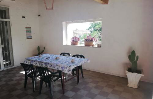 Wild Paradise - Foto 11