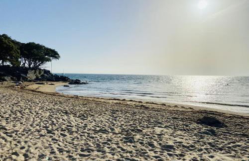 Maison moderne pour 5 personnes à Noirmoutier - Foto 25