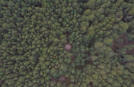 Woodland - dom z sauną i balią - Foto 27