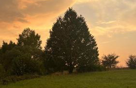 W Kręgu Natury - Foto 60