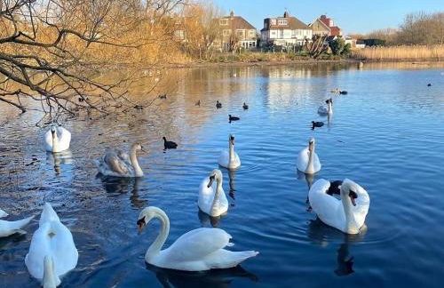 Lakeside Retreat - Spacious 1BR - Peaceful Base Near Wembley - Foto 26