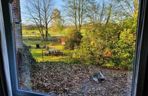 Traumhaftes Reetdachhaus "Grote Eken" in der Lüneburger Heide - Foto 28