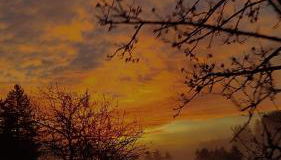 Feldbergsicht - Foto 3