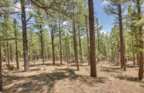 Cozy Cabin in Greer Hike, Bike and Ski! - Foto 23