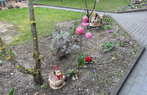 Meine schöne Ferienwohnung in der Nähe der Spree - Foto 1