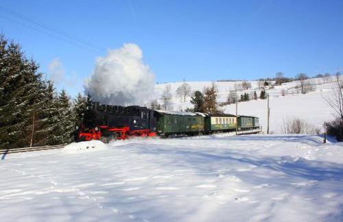 Große Ferienwohnung Ebert&Green - Foto 17