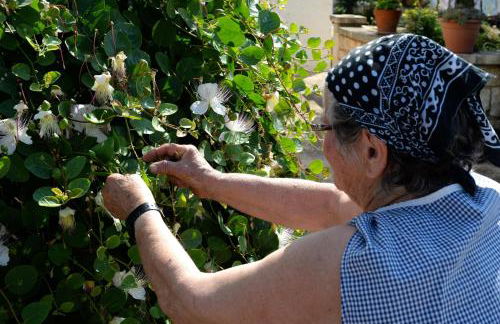 Agriturismo Laire Masseria - Foto 7
