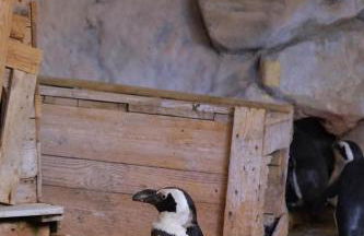 Évasion en Côte d'opale Classé 2 étoiles possibilité de parking - Foto 23