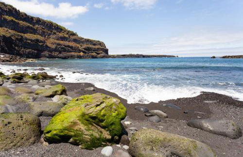 Finca La Gaviota - Los Limoneros - Foto 59