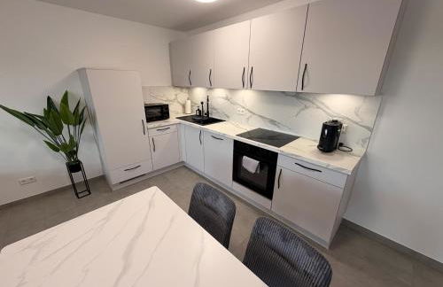 BILEANCA - Neubau-Ferienwohnungen Rheinhausen Europa-Park - Foto 3